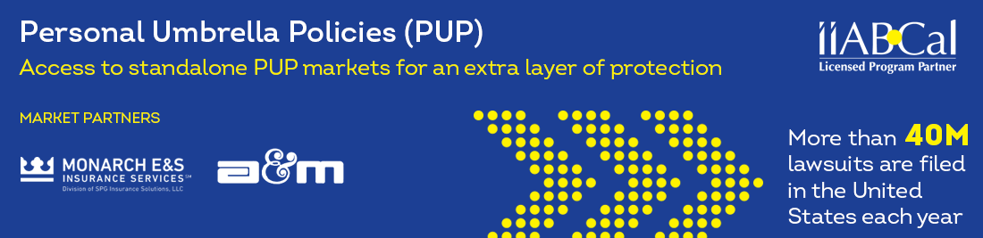 Personal Umbrella Policy graphic
